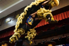 DSC00749-scaled