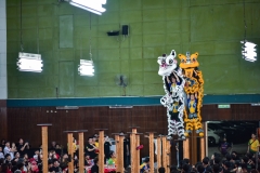 NIK_4057